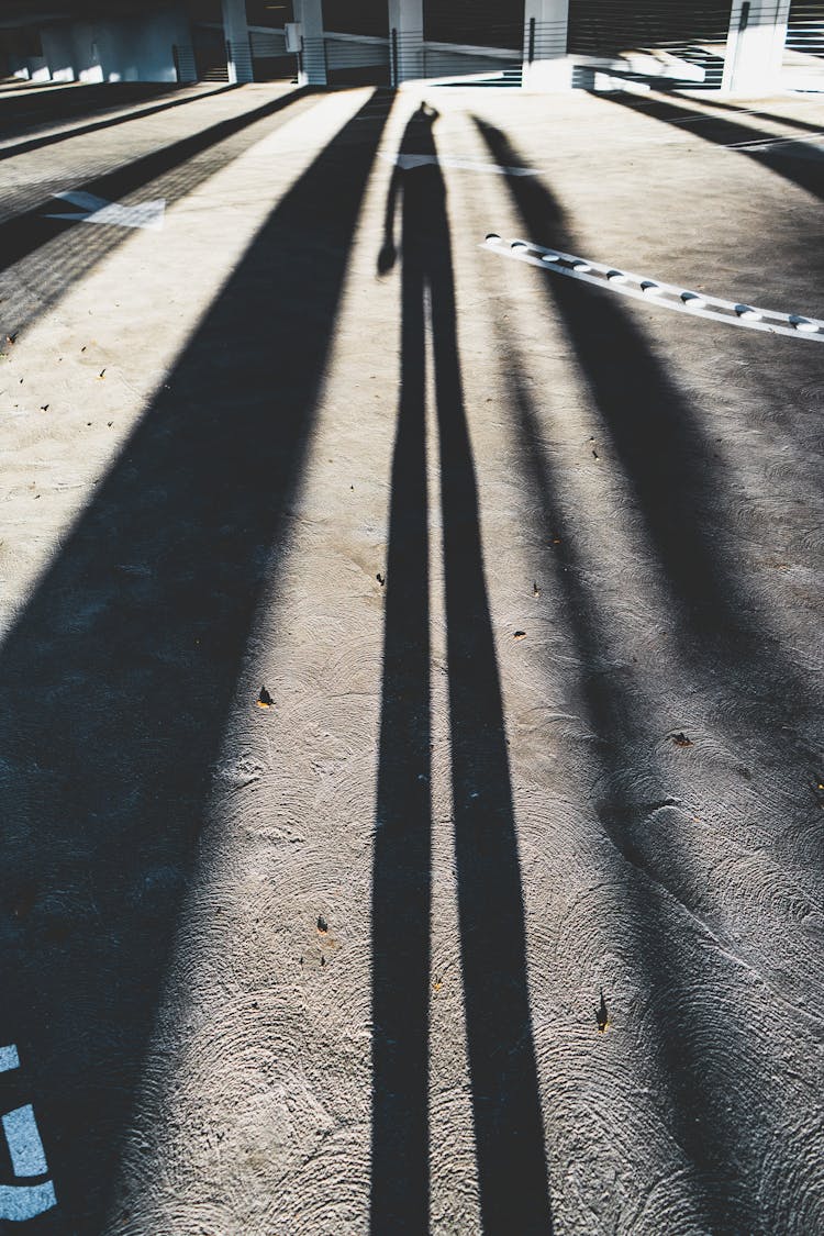 Shadow Of Person On Pathway