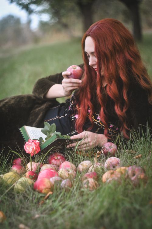Free Woman relaxing in orchard with apples and book, enjoying a peaceful autumn day. Stock Photo
