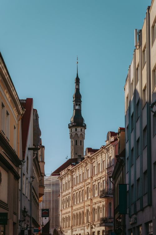 Free A view of Tallinn's historic town hall spire rising above the picturesque Old Town streets under a clear blue sky. Stock Photo