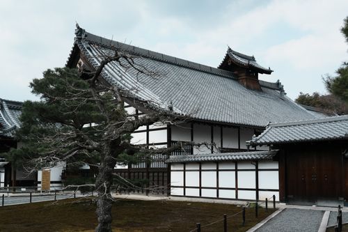 Free Serene view of a traditional Japanese temple in Kyoto with classic architecture and lush greenery. Stock Photo