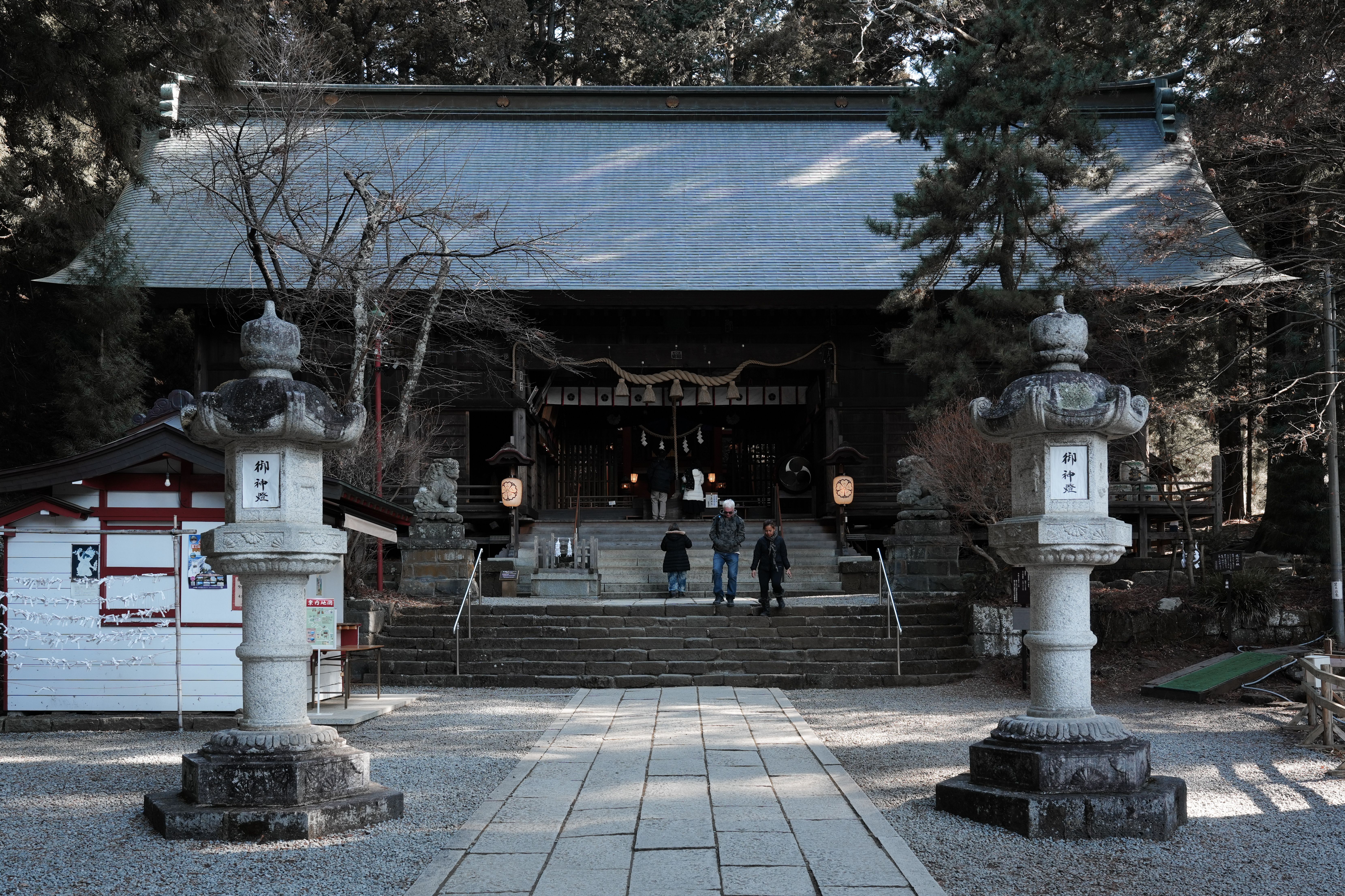 A serene view of a historic Japanese shrine flanked by stone lanterns in a peaceful forest setting.