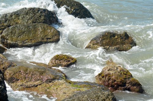 Free Dynamic ocean waves crash against moss-covered rocks on a sunny shoreline, capturing the essence of seaside nature. Stock Photo