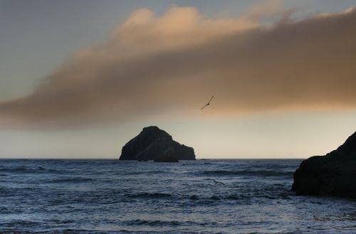 Free Serene ocean scene at sunrise with a lone rock formation and a seagull gliding over the water. Stock Photo