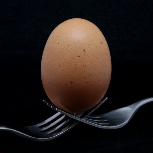 Kostnadsfria Kostnadsfri bild av ägg, balans, gafflar Stock foto
