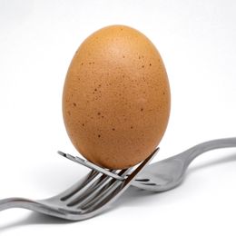 A brown hen egg balanced on a fork against white — Andrew McMurtrie on Pexels