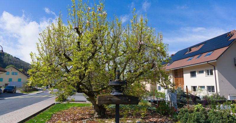 Barème du malus écologique : lire la grille CO2 en 2026