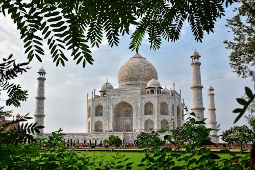 Taj Mahal through Branches of Leaves