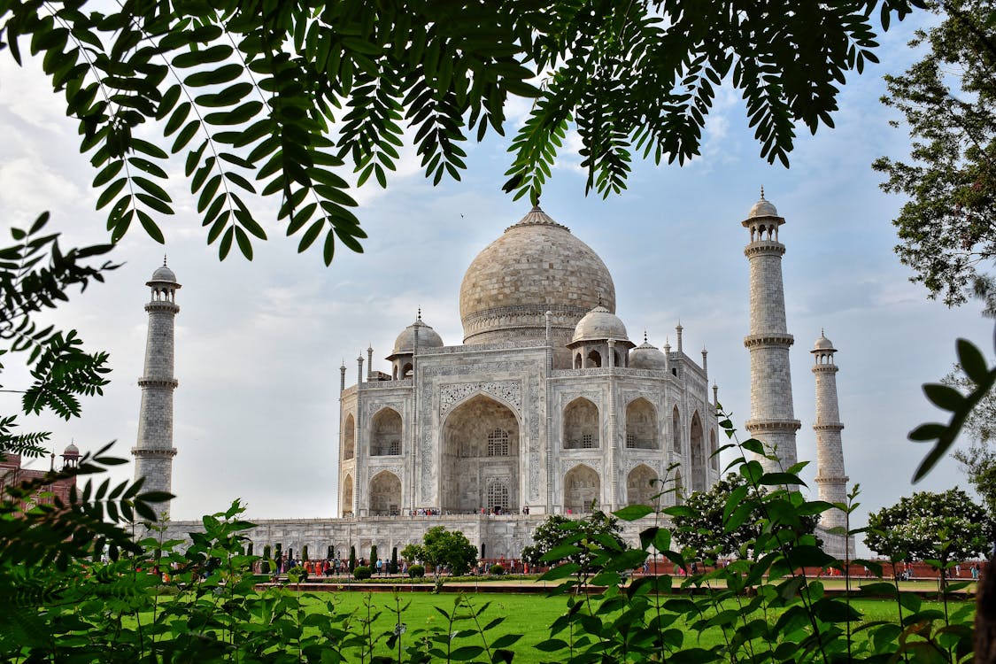 Free Taj Mahal through Branches of Leaves Stock Photo