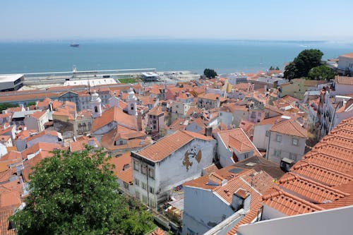 High angle of aged tiled roofs of houses located on shore of blue sea