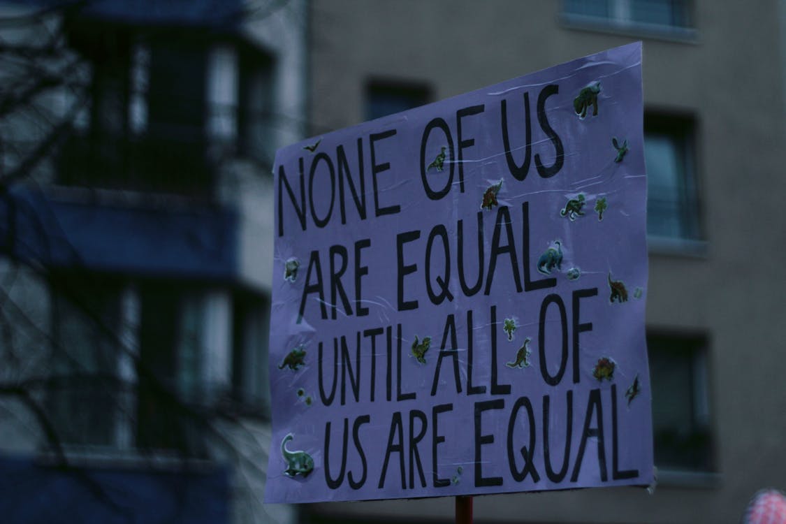 Free A Placard on Equality in Close Up Photography Stock Photo