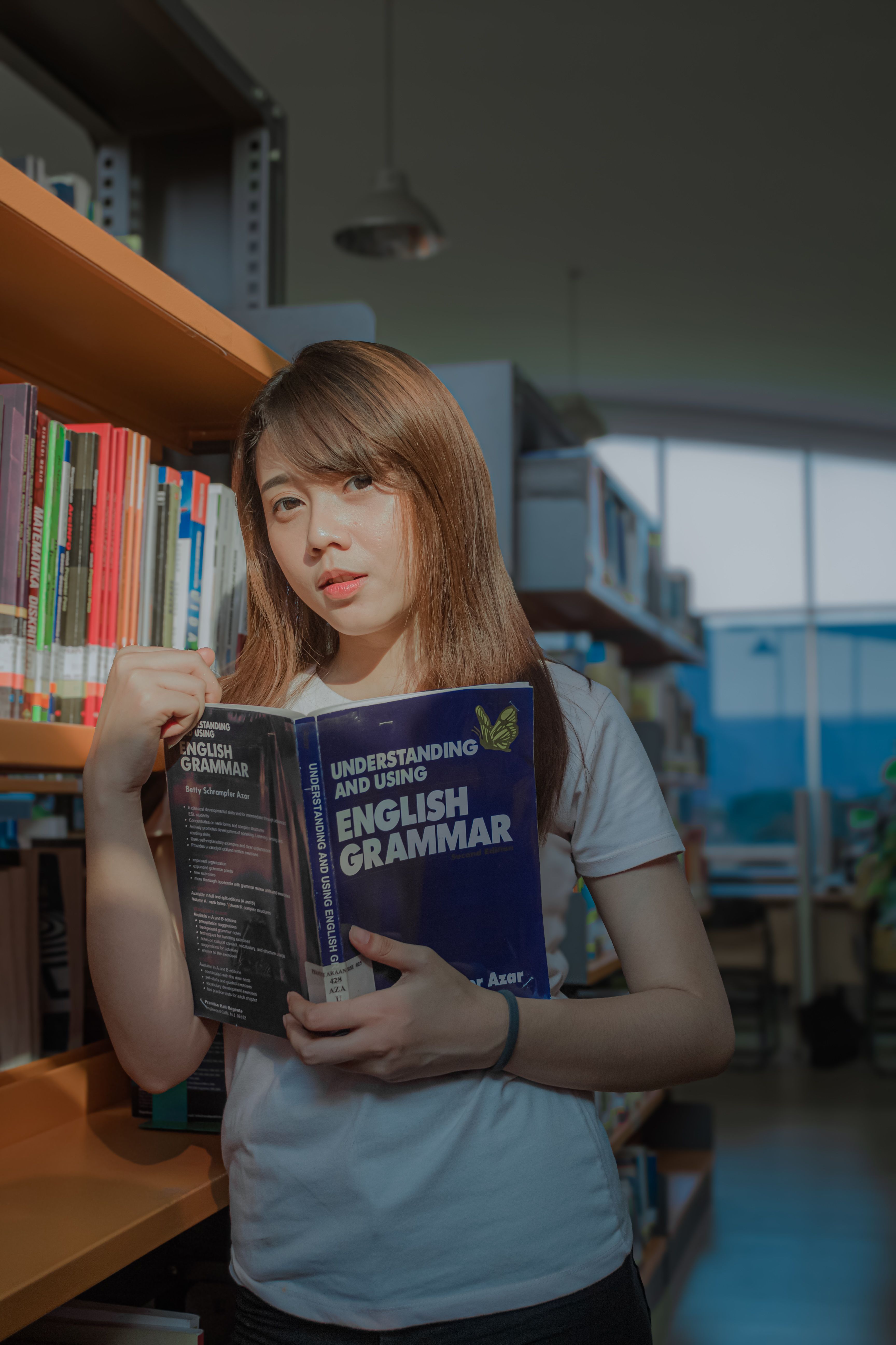Guide To Grammar And Writingchm