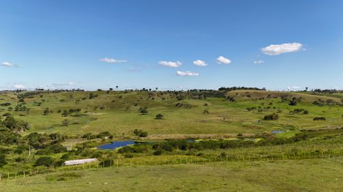 Free A serene aerial view of lush green countryside with ponds and hills in Sairé, Pernambuco, Brazil. Stock Photo