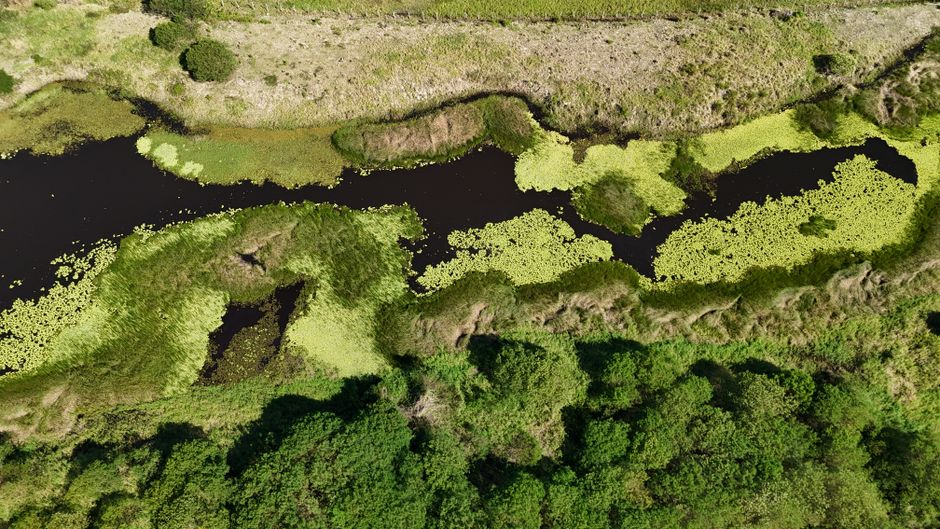 Aerial photograph of a lush green wetland area with vegetation and water features in Brazil.