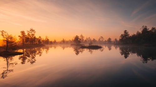 Free Tranquil sunrise with mist over a calm lake in Estonia, reflecting picturesque nature. Stock Photo
