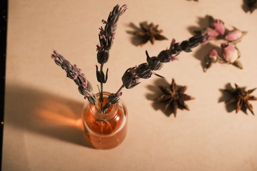 Free Aesthetic floral arrangement featuring lavender and star anise, perfect for home decor and natural themes. Stock Photo