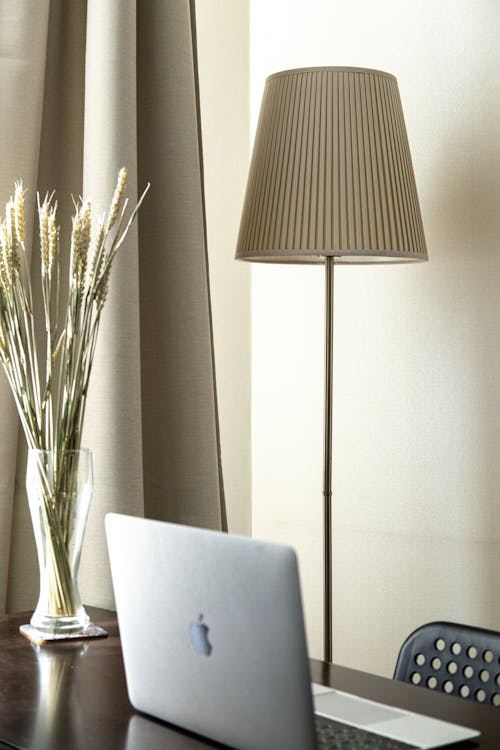 Free White Floor Lamp Beside A Plant Stock Photo