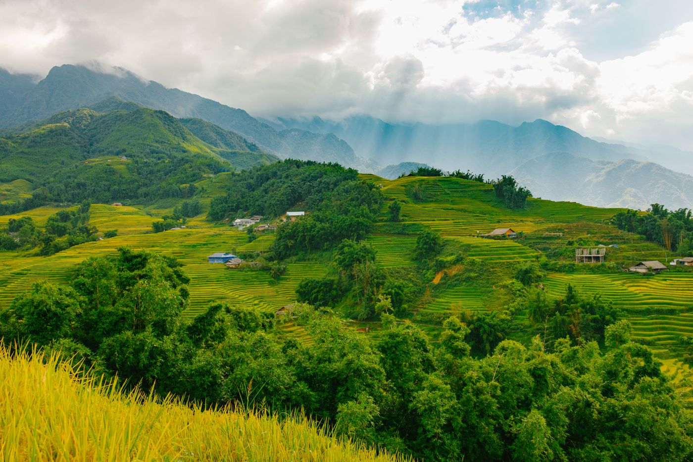Green terraces cascading across a mountain landscape
