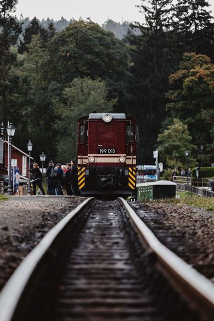 Ride the Historic 1880 Train things to do in black hills