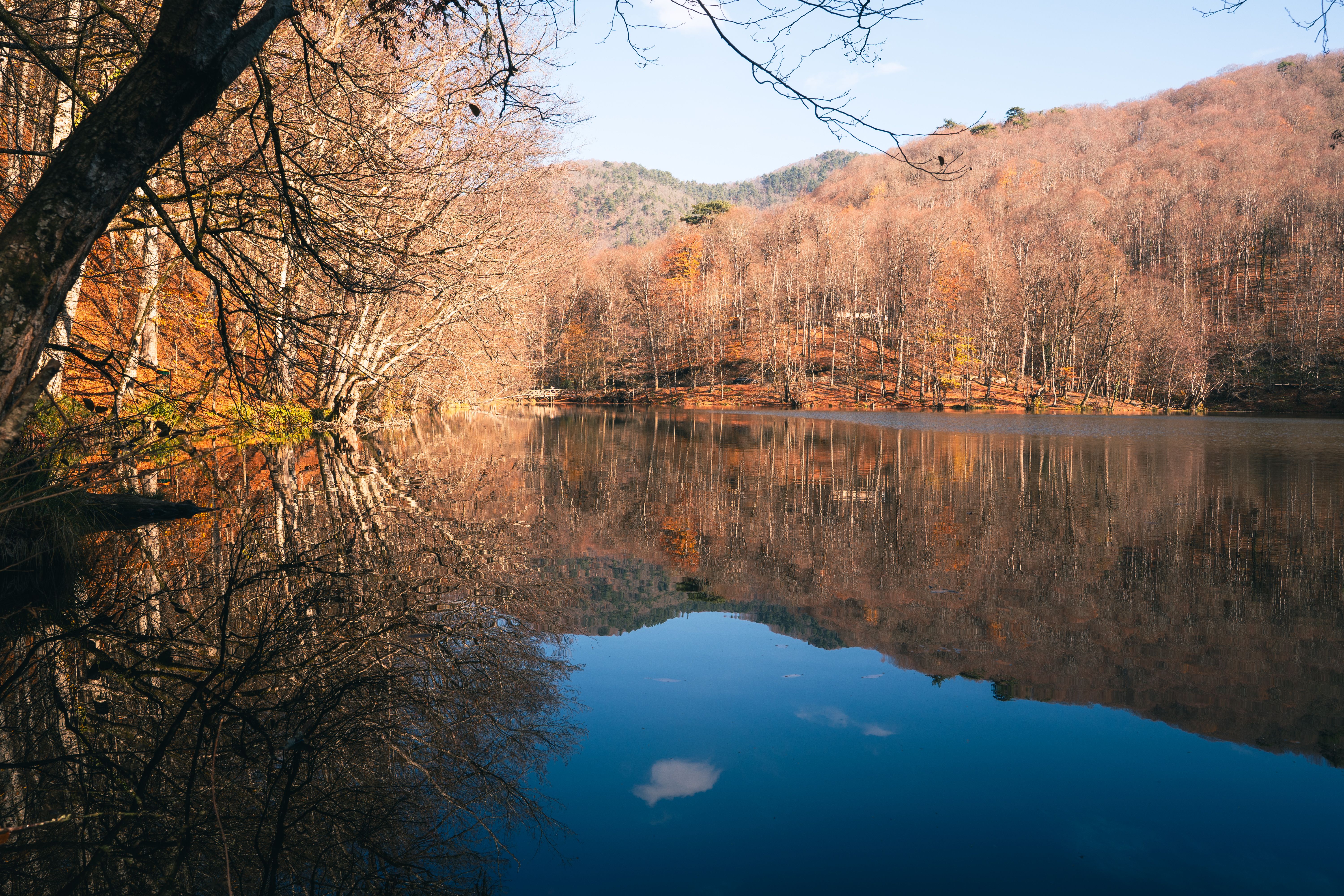 Peaceful autumn lake scene in Bolu, Türkiye, with vibrant foliage reflecting in calm waters.
