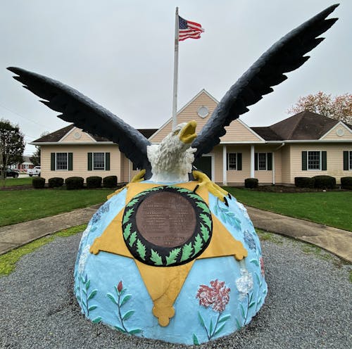 原本, 最大的雕鹰, 紐約 的 免费素材图片