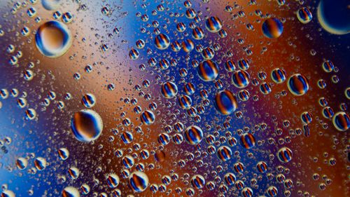 Free Vibrant macro shot of bubbles in a colorful liquid background, highlighting abstract and surreal patterns. Stock Photo