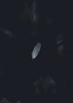A solitary white feather gracefully falls on a dark minimalist background, creating a serene aesthetic.