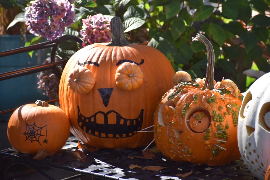 Festive Halloween pumpkins with jack-o'-lantern faces and decorations in a vibrant garden setting.
