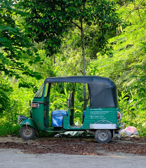 Free Parked green tuk-tuk surrounded by vibrant greenery, conveying a serene, natural vibe. Stock Photo