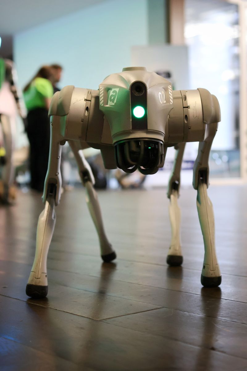 Cão-robô numa exposição de tecnologia