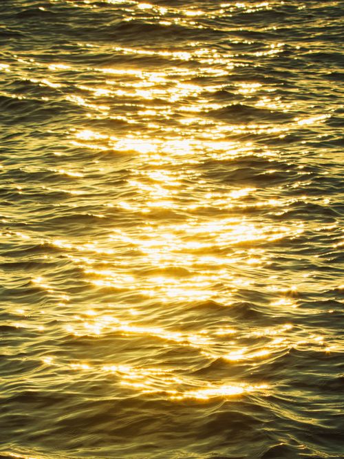 Free Capture of golden sunlight reflecting on ocean waves during a warm day. Stock Photo