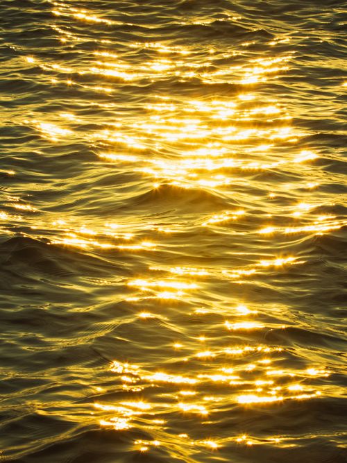 Free Vibrant golden sunlight reflects on gently rippling water, creating a serene and warm atmosphere. Stock Photo