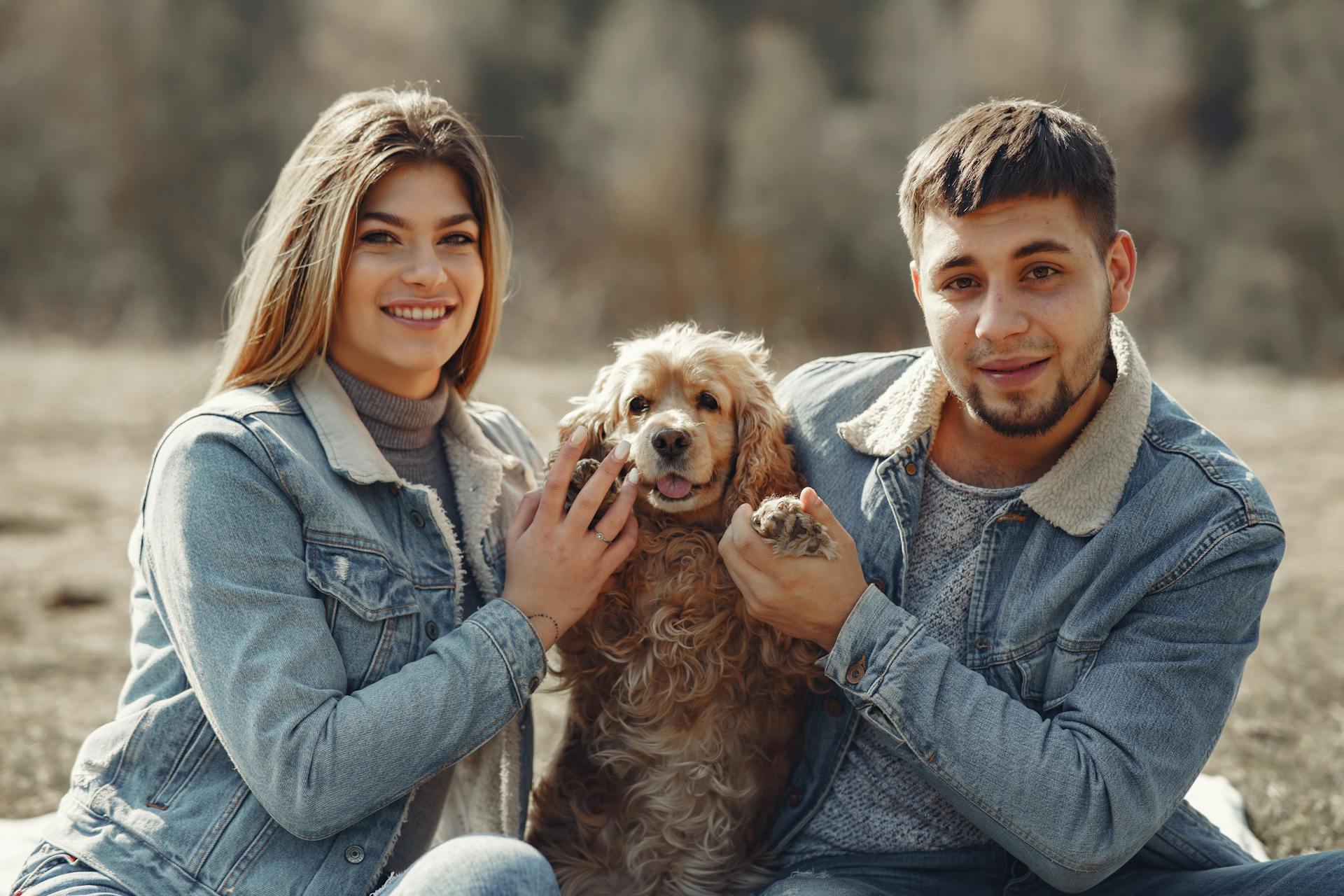 Positive couple in denim clothes cuddling American Cocker Spaniel pet holding between each other sitting on blanket in autumn field in daylight