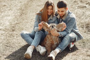 Full length happy couple in jeans outfit playing with adorable American Cocker Spaniel while having fun on lawn in autumn forest