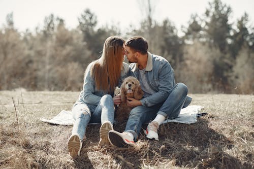 Free Full body happy couple in jeans clothes kissing while hugging cute American Cocker Spaniel together having rest on forest lawn in autumn Stock Photo