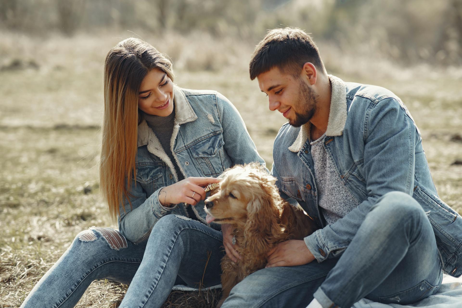 Positive young couple in denim jackets and jeans sitting on plaid with cute Cocker Spaniel while resting on sunny field in countryside