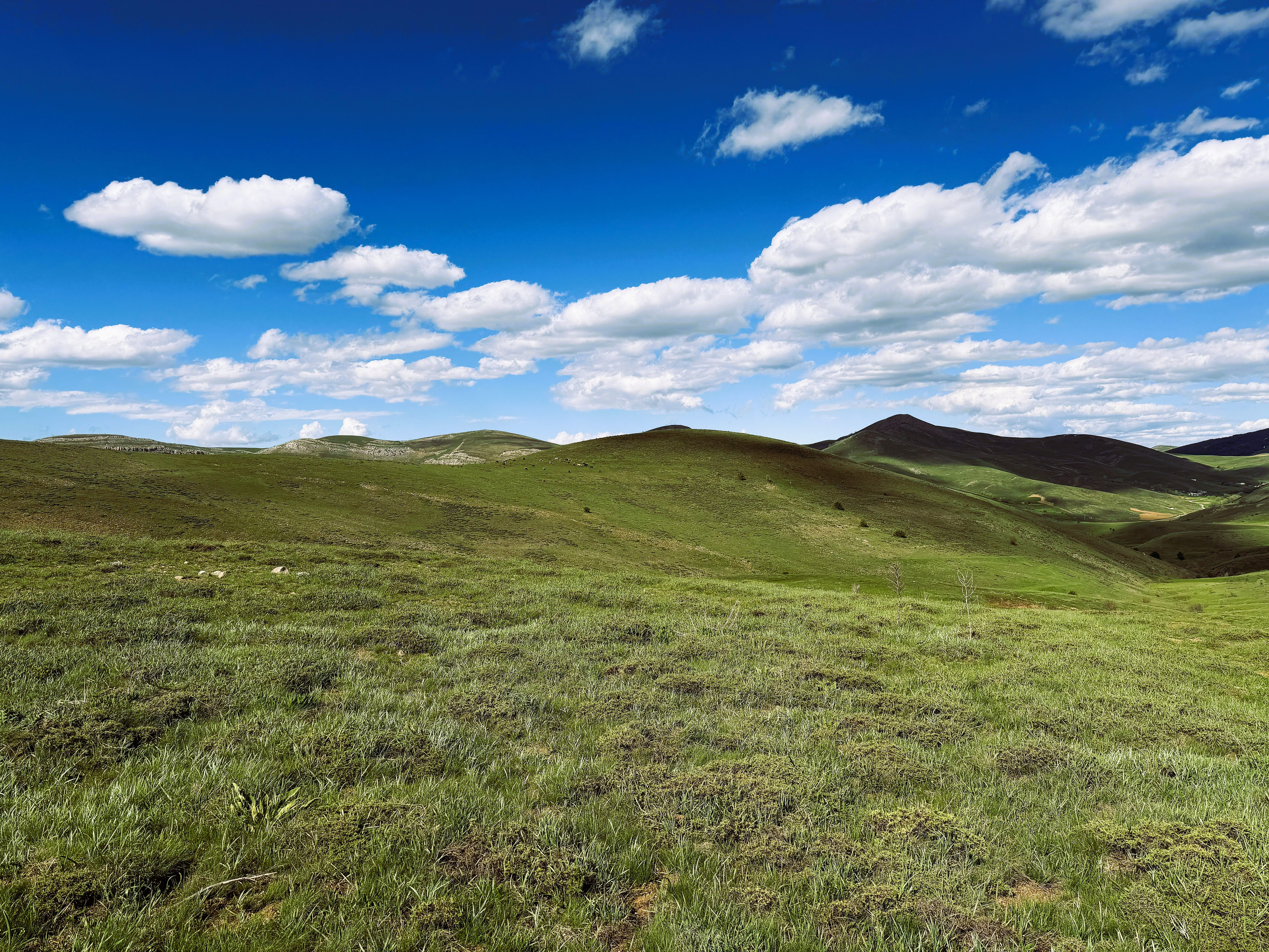real estate buy sell rent real estate buy sell agreement montana — Photo by Yetkin Ağaç on Pexels