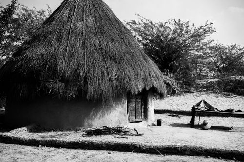 Free Black and white image of a traditional thatched hut in a rural setting with surrounding vegetation. Stock Photo