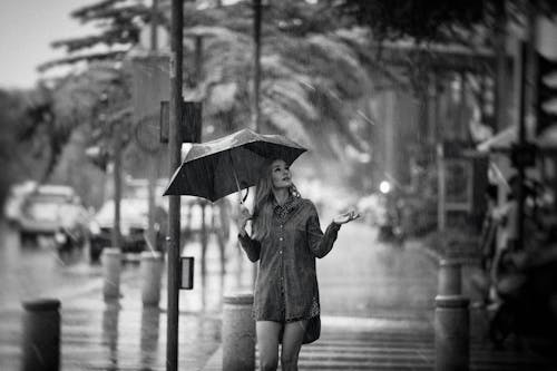 우산을 들고 여자의 회색조 사진