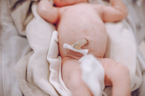 Foto profissional grátis de bebê, coberta, cobertor