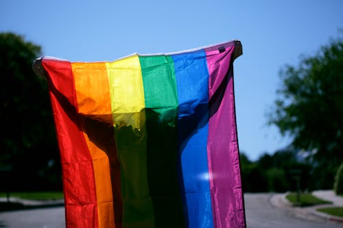 Free Person Holding a Rainbow Flag Stock Photo