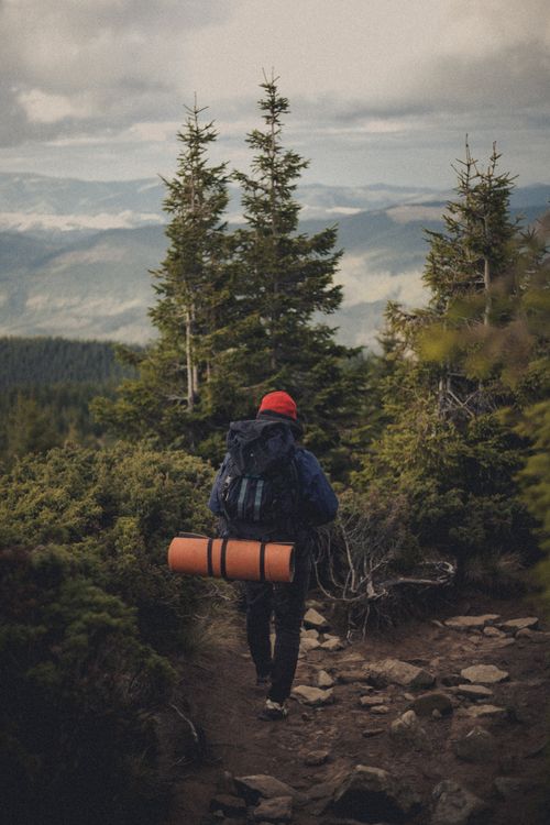 Free Solo hiker with backpack explores lush mountain forest trail. Stock Photo