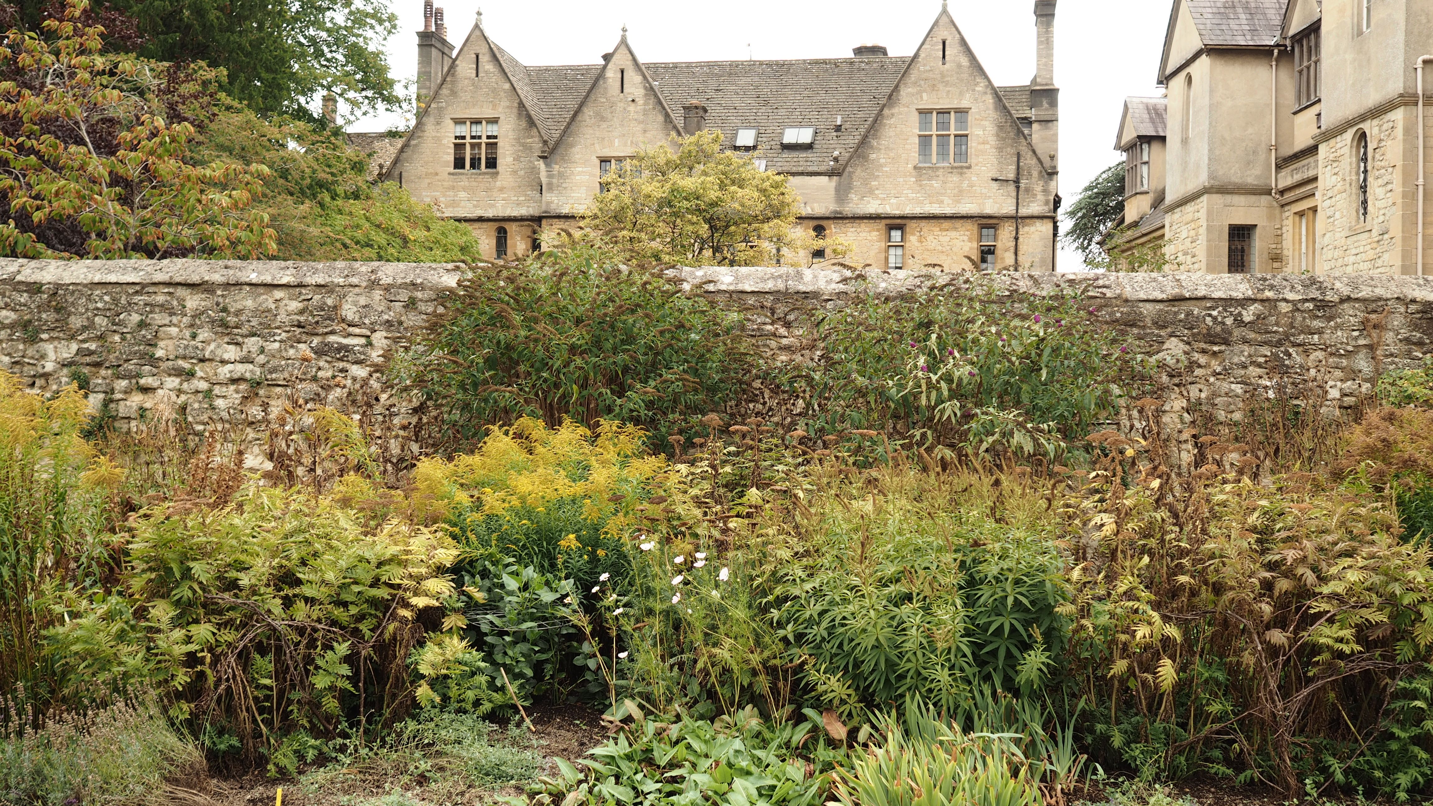 Charming historic stone house surrounded by a lush garden with vibrant plants in autumn.