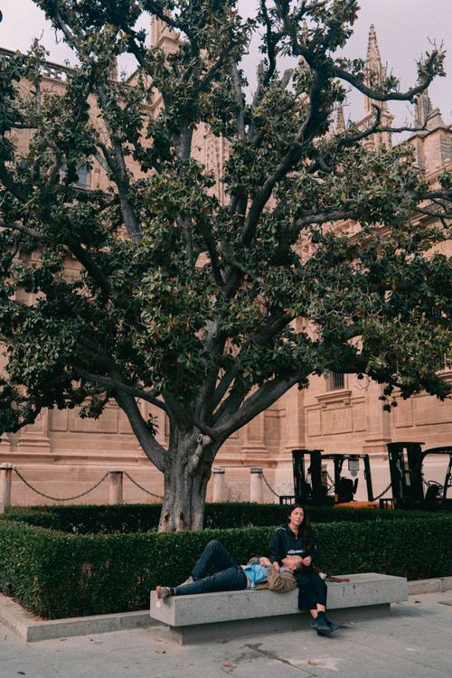 Free Two adults relaxing under a large tree in front of a historic building. Stock Photo