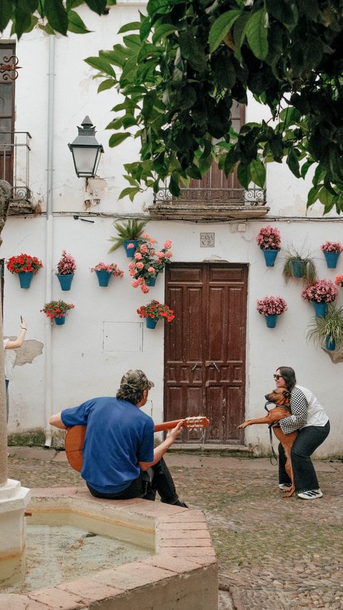 Free A lively street scene with a guitarist in a picturesque Spanish courtyard adorned with vibrant flowers. Stock Photo