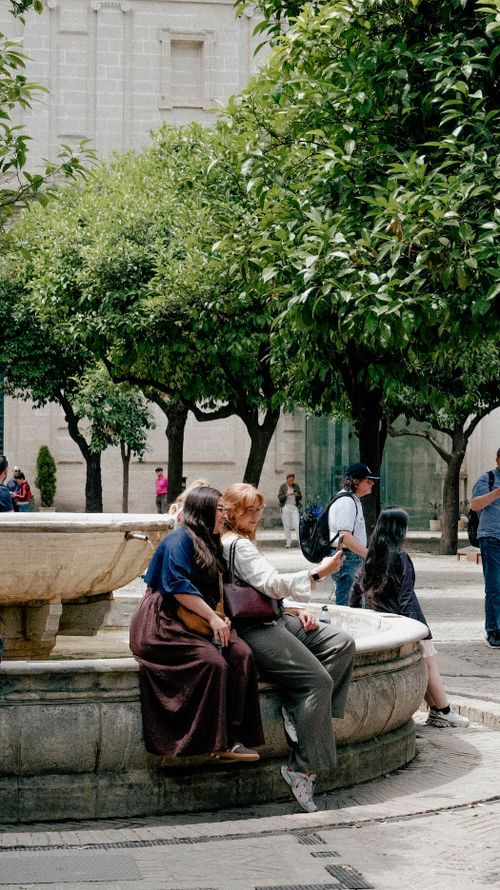 Free A group of adults enjoying a sunny day by a fountain in a park surrounded by lush trees. Stock Photo