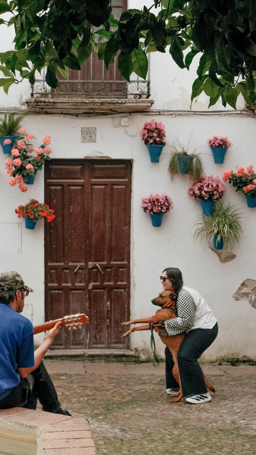 Free A cozy courtyard scene with musicians, vibrant flowers, and a playful dog. Stock Photo