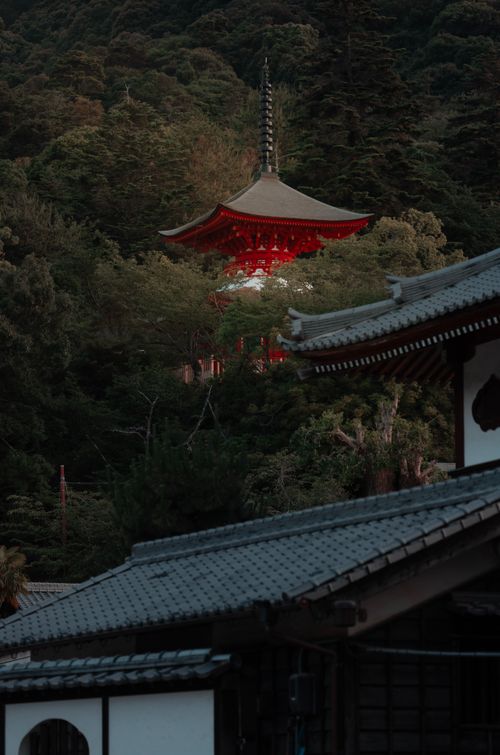 Free A red pagoda nestled in lush greenery, captured in a serene Japanese setting, showcasing traditional architecture. Stock Photo