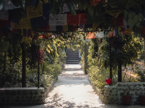 Free Sunlit pathway with Tibetan prayer flags and lush greenery in Nepal, creating a serene and spiritual atmosphere. Stock Photo