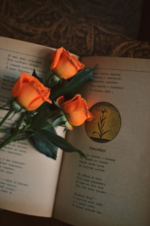 Free Three vibrant orange roses placed on an open book with floral illustrations, creating a vintage aesthetic. Stock Photo
