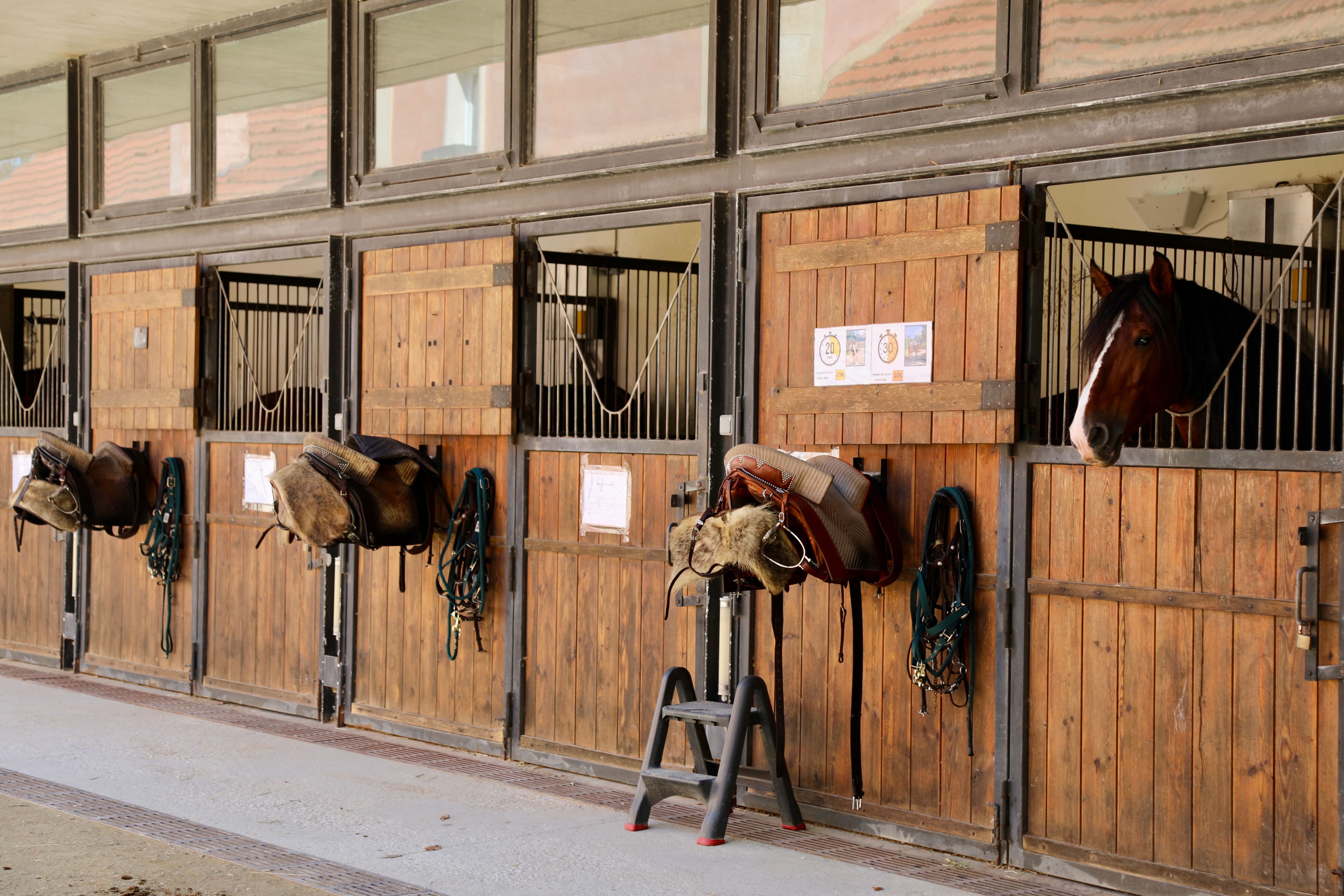 Wooden horse stables with saddles and bridles in Sintra, Portugal, showcasing warm, rustic charm.